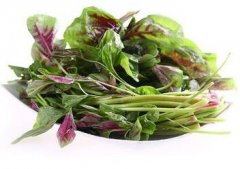 宝宝吃苋菜有什么作用 宝宝食谱推荐