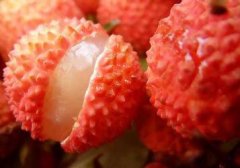 儿童吃荔枝发烧：空腹吃荔枝10个孩子死亡