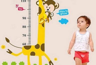 宝宝身高体重标准表