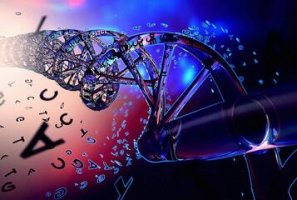 哪些遗传病传男不传女？秃顶传男不传女