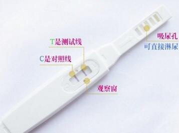 验孕棒怎么用_验孕棒使用注意事项