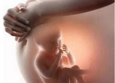 胎儿脑积水会有什么后果