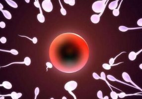 什么是男性不育？男性不育症的检查治疗