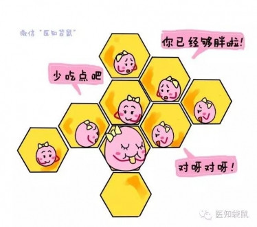 什么是试管婴儿？试管婴儿流程过程