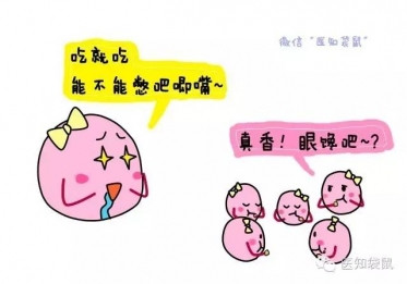 什么是试管婴儿？试管婴儿流程过程