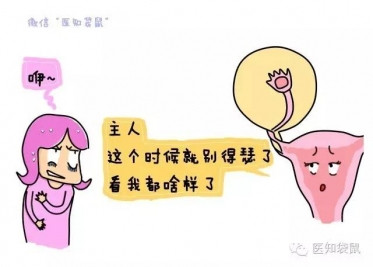 什么是试管婴儿？试管婴儿流程过程