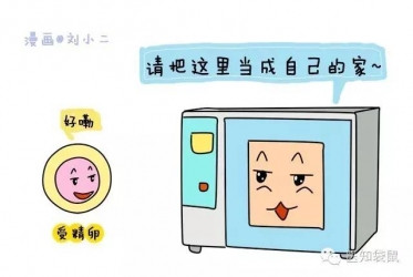 什么是试管婴儿？试管婴儿流程过程