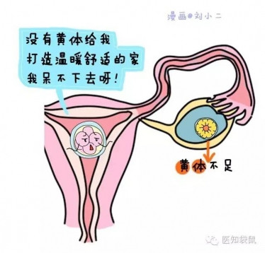 什么是试管婴儿？试管婴儿流程过程