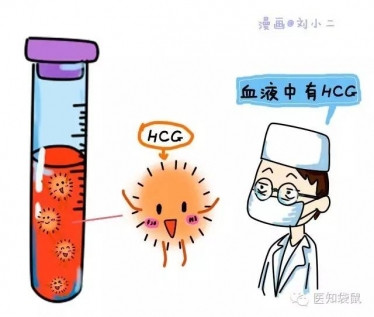 什么是试管婴儿？试管婴儿流程过程