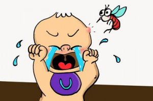 驱蚊方法有哪些