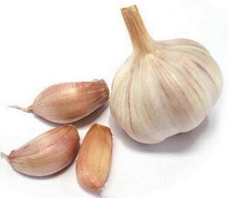 新生儿脐炎妈妈不能吃什么