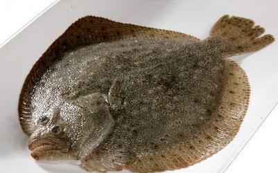 宝宝吃多宝鱼的好处 清蒸多宝鱼的做法