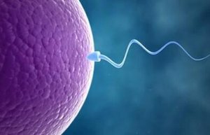 免疫性不孕的原因