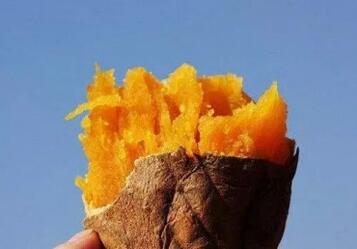 冬天吃什么可以御寒？赶紧吃这些食物御寒