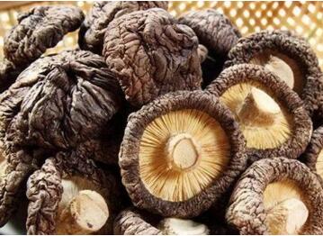 冬天吃什么可以御寒？赶紧吃这些食物御寒