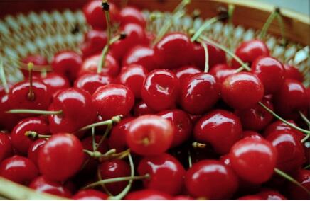 车厘子和樱桃的区别