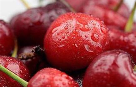 车厘子和樱桃的区别