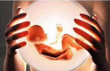 为什么要冷冻胚胎？试管婴儿冻胚更容易成功？