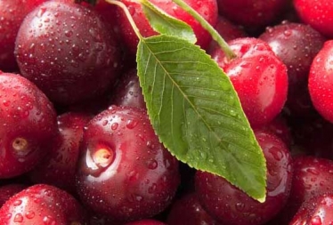 车厘子怎么保存？车厘子保存方法