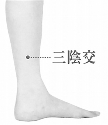 三阴交穴位在哪？三阴交穴位的作用