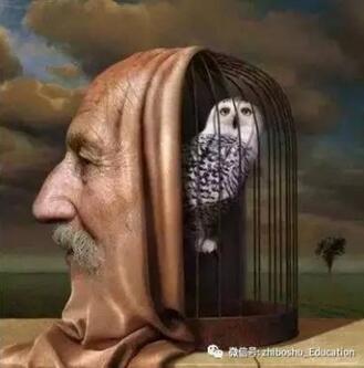 孩子想象力的重要性？想象力比知识更重要