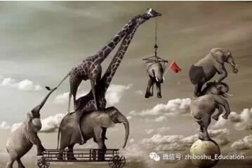 孩子想象力的重要性？想象力比知识更重要