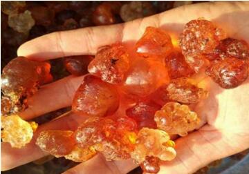 桃胶的功效与作用_桃胶可以天天吃吗？有副作用吗？