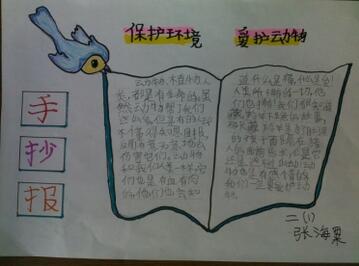 保护动物手抄报图片及内容