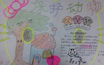 保护动物手抄报图片及内容