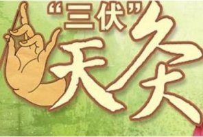 三伏天艾灸养生_2018三伏天艾灸时间表