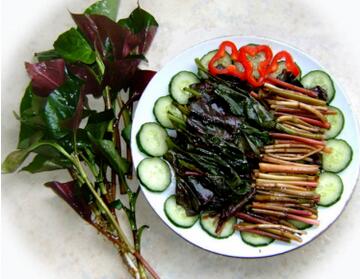 鱼腥草孕妇能吃吗？孕妇鱼腥草的吃法食谱