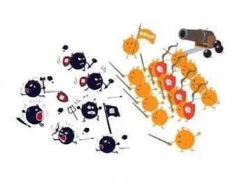 儿童酵素的作用与功效_宝宝吃酵素有什么好处