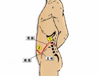 带脉的位置在哪里？带脉的作用 带脉不通怎么办？
