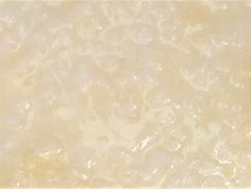 一岁宝宝干贝粥的做法大全