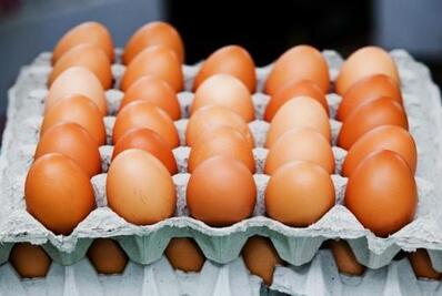 吃什么能长高？9种有助于长高的最佳食物！