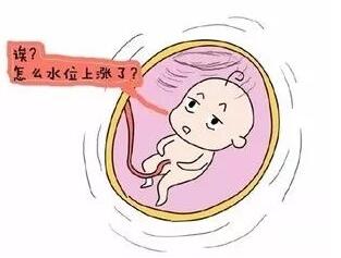 羊水指数正常范围 孕妇羊水过多和过少的原因