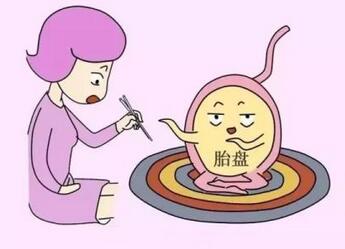 胎盘能吃吗 吃胎盘要注意什么