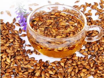 大麦茶的功效与作用 大麦茶的禁忌