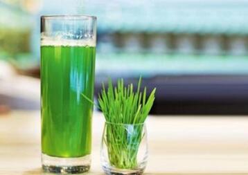 小孩可以喝大麦青汁吗