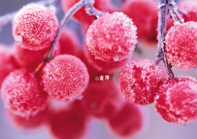 霜降养生注意5个预防 帮你顺利过渡到冬季