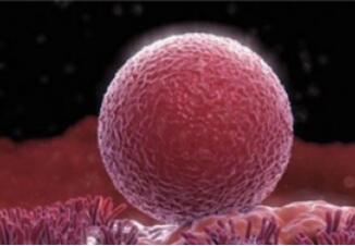 每个月排卵期都出血正常吗 排卵期出血症状