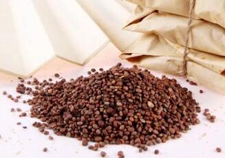 小孩咳嗽吃什么好的快