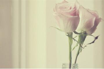 性激素六项检查多久出结果