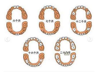 宝宝几个月长牙