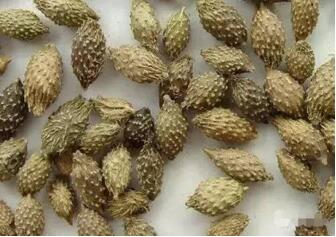 婴儿鼻塞怎么办？10个鼻子不通气小妙招