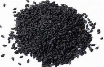 黑芝麻怎么吃才能补肾