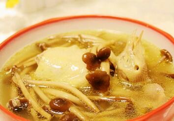 孕妇鸽子汤的做法大全