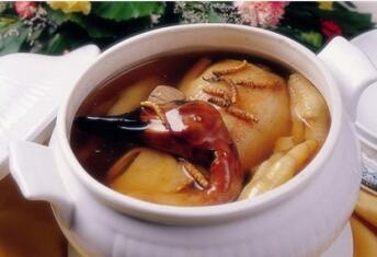 孕妇鸽子汤的做法大全