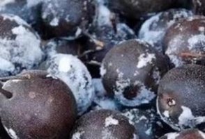 东北冻梨怎么做 冻梨的吃法