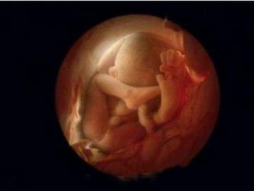 怀孕7个月胎儿图及注意事项